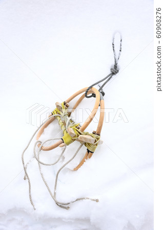 Orchid Orchid 60908276