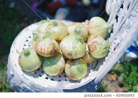 農業/收成 60908995