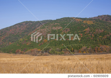 Chodaihara Autumn leaves and Ssu 60909809