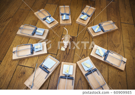 Composite image of a mouse surrounded by mouse traps eating cheese from one of the traps themes of risk danger intelligence 60909985