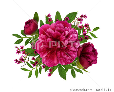 Pink peonies and waxflowers and leaves in a floral Pink peonies and waxflowers and leaves in a floral 60911714