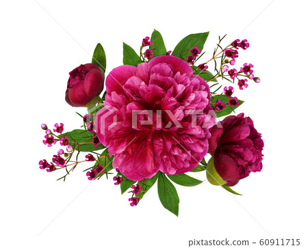 Pink peonies and waxflowers and leaves in a floral Pink peonies and waxflowers and leaves in a floral 60911715