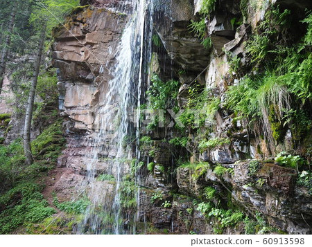 天然獅子威脅 60913598