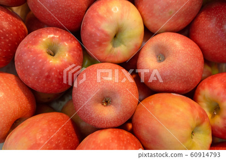 Apple Apple 60914793