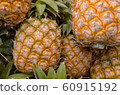 pineapple  60915192