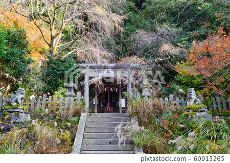 大豐神社(京都市) 大豐神社(京都市) 60915265