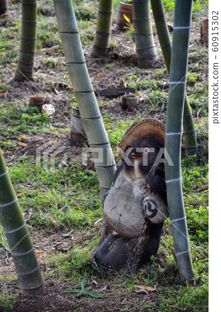 Oharajuku Honjin mascot 60915302