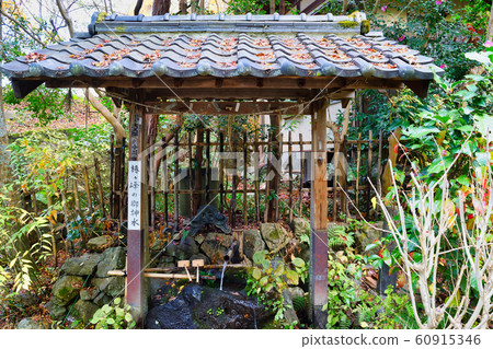 Otoyo Shrine @ God of the camellia peak (Kyoto) Otoyo Shrine @ God of the camellia peak (Kyoto) 60915346