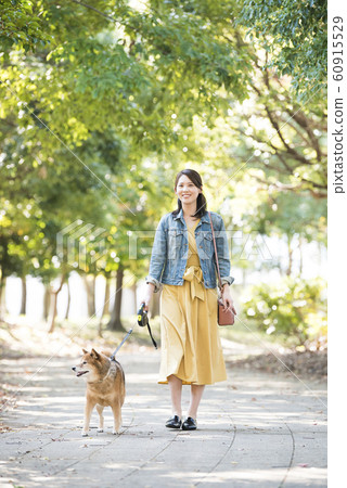 柴犬和年輕女子在公園散步 柴犬和年輕女子在公園散步 60915529
