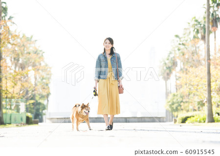 柴犬和年輕女子在公園散步 柴犬和年輕女子在公園散步 60915545