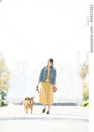 Shiba Inu and young woman walking in the park 60915561