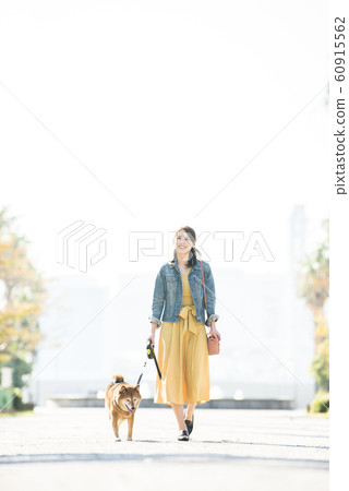 Shiba Inu and young woman walking in the park 60915562