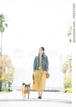 柴犬和年輕女子在公園散步 柴犬和年輕女子在公園散步 60915564