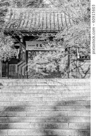 [棕褐色]秋天的京都Horinji Sanmon 60915603