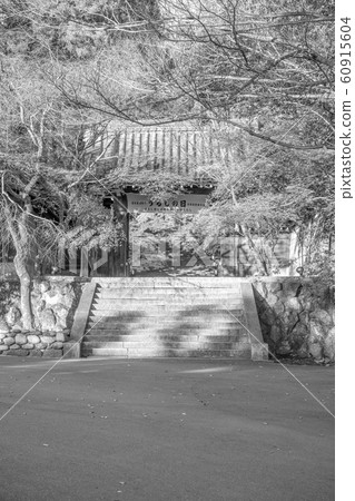[Sepia] Autumn Kyoto Horinji Sanmon 60915604