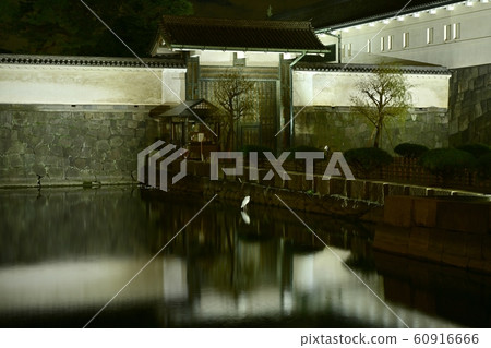 Imperial Palace Light-up @ Otemon Gate and Kikyo Moat Imperial Palace Light-up @ Otemon Gate and Kikyo Moat 60916666