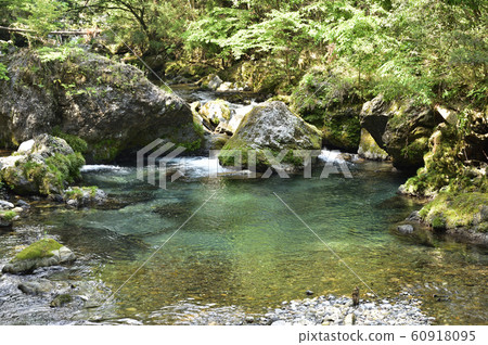 [Gifu Prefecture] Engawa River stream image 60918095