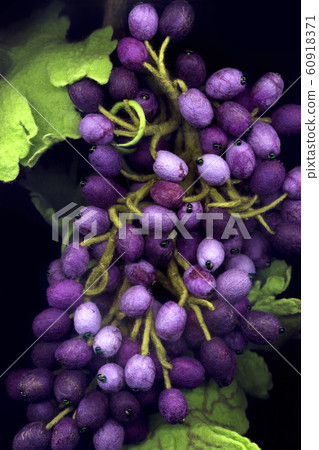 Bunch of handmade grapes from felted wool closeup 60918371