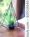 Green plant pots 60918840