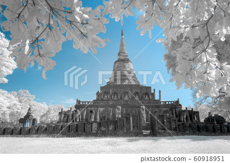 Ruined ancient Buddhist temple and pagoda 60918951