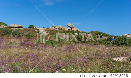 Hiking on bretagne cotes d'armor coast Hiking on bretagne cotes d'armor coast 60918998
