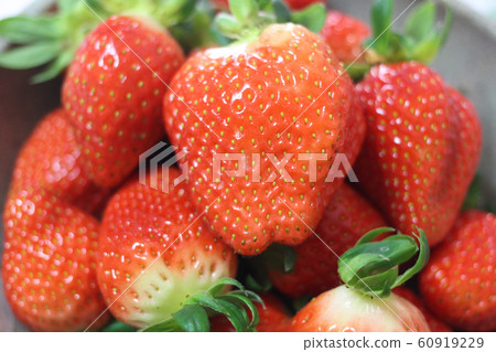 Strawberry fruit red 60919229