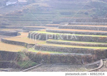 Rice terraces 60922914