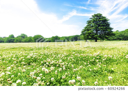 環境美化與綠葉,藍天和花園 環境美化與綠葉,藍天和花園 60924266
