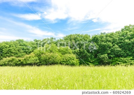 Landscape with green and blue sky Landscape with green and blue sky 60924269