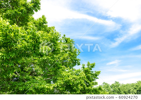 Landscape with green and blue sky 60924270