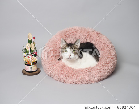 Kadomatsu and cat in bed Kadomatsu and cat in bed 60924304