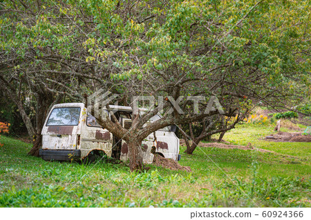 在森林裡的車腐爛 在森林裡的車腐爛 60924366