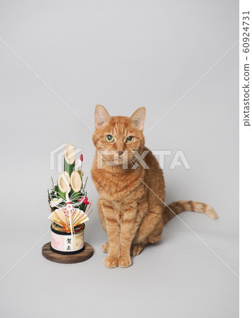 Kadomatsu and brown cats Kadomatsu and brown cats 60924731