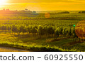 Happy New Year 2020 wine Background for your Christmas 60925550
