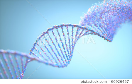Oxidative DNA Damage Genetic Disorder Molecular 60926467