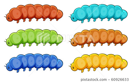 Caterpillars in many color 60926633
