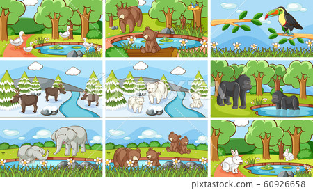 Background scenes of animals in the wild Background scenes of animals in the wild 60926658