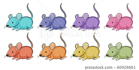 Isolated set of mouse in many color Isolated set of mouse in many color 60926661