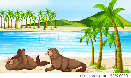 Scene with two seals on the beach 60926663
