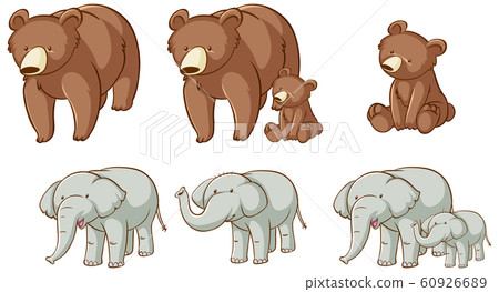 Isolated picture of bears and elephants 60926689