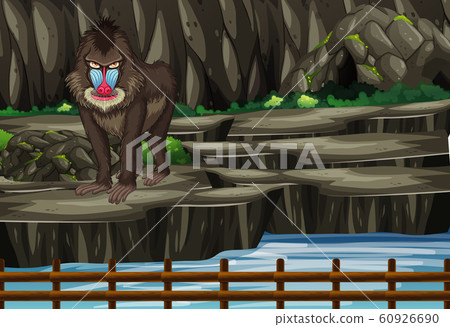 Scene with baboon in the zoo 60926690