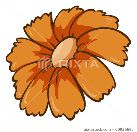 Single flower in orange color 60926693