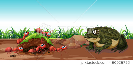 Nature scene with toad and ants 60926733