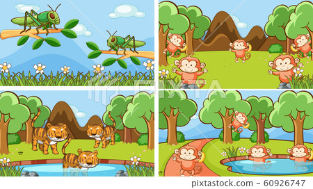 Background scenes of animals in the wild Background scenes of animals in the wild 60926747