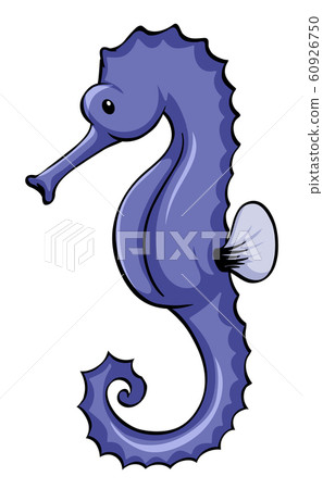Blue seahorse on white background Blue seahorse on white background 60926750