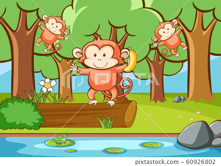 Scene with monkeys in the forest 60926802