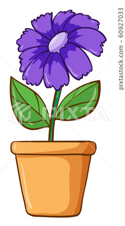 Single flower in clay pot Single flower in clay pot 60927033