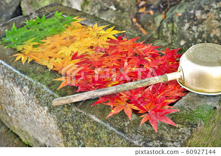 [Colorful Autumn Leaves Tesuisha] Komakei Kannon: Ikuma, Kamitada-cho, Nishimuro-gun, Wakayama Prefecture 60927144