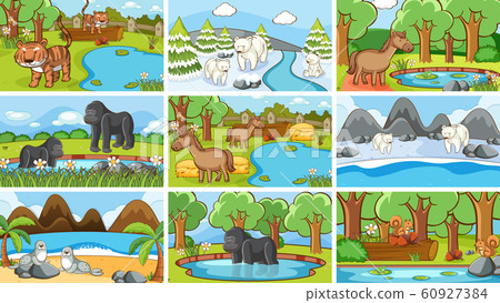Background scenes of animals in the wild Background scenes of animals in the wild 60927384