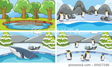 Background scenes of animals in the wild Background scenes of animals in the wild 60927386
